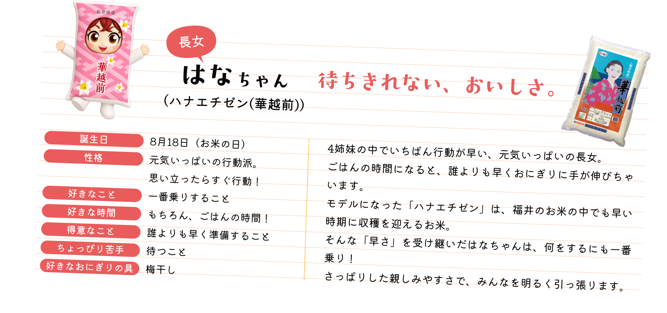 はなちゃんプロフィール